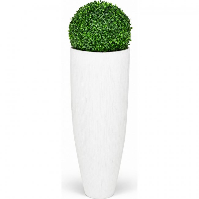 Самшит в белой напольной вазе CALLIGARIS White